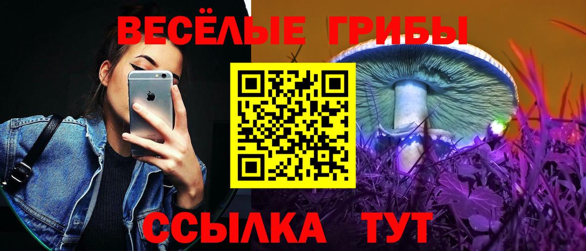 Псилоцибиновые грибы прущие грибы Мценск