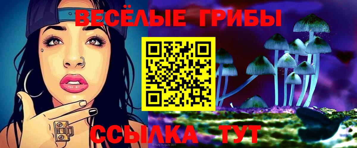 Псилоцибиновые грибы мицелий  Вход с VPN  Мценск 